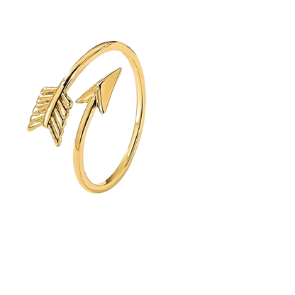 14-karätiger, verstellbarer, polierter Pfeilring